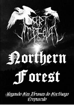 Northern Forest : Vagando nas Brumas do Noctívago Crepúsculo